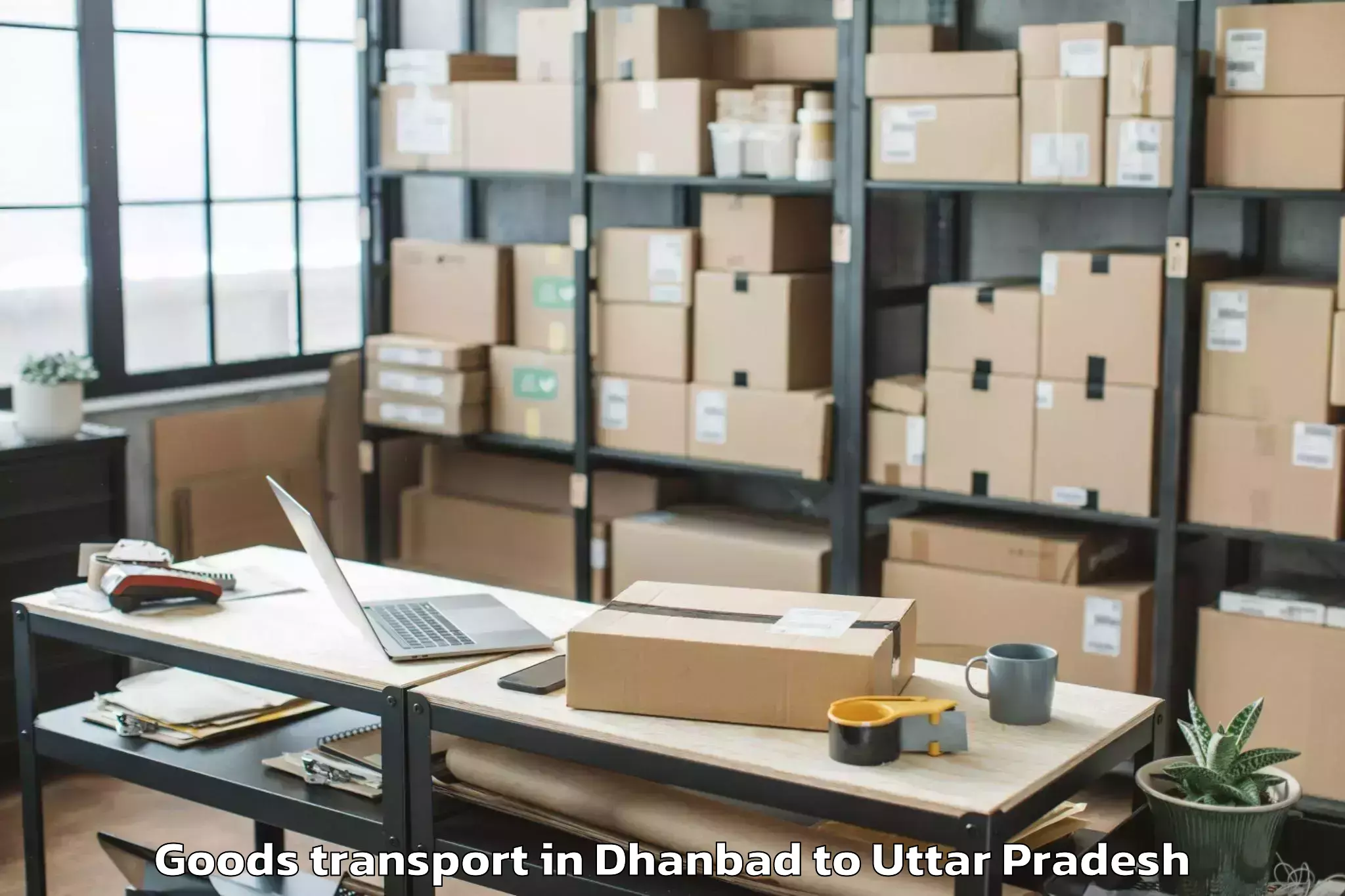 Quality Dhanbad to Bewar Goods Transport